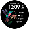 Hummingbird APK