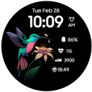 Hummingbird APK