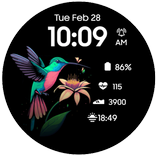 Hummingbird