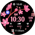 Animated Cherry Blossom 2