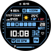 Digital 14 APK