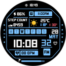 Digital 14 APK