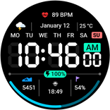 Digital Dashboard 3