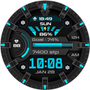 Digital Sport V10 APK