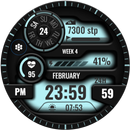 Digital Sport V14 APK