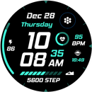 Digital Sport V9 APK