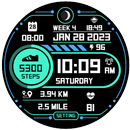 Step Up 2 - Digital Watchface APK