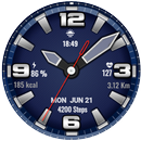 Simplicity Analog 13 APK