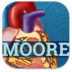 USMLE Clinical Anatomy biểu tượng