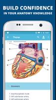 USMLE Clinical Anatomy ภาพหน้าจอ 3