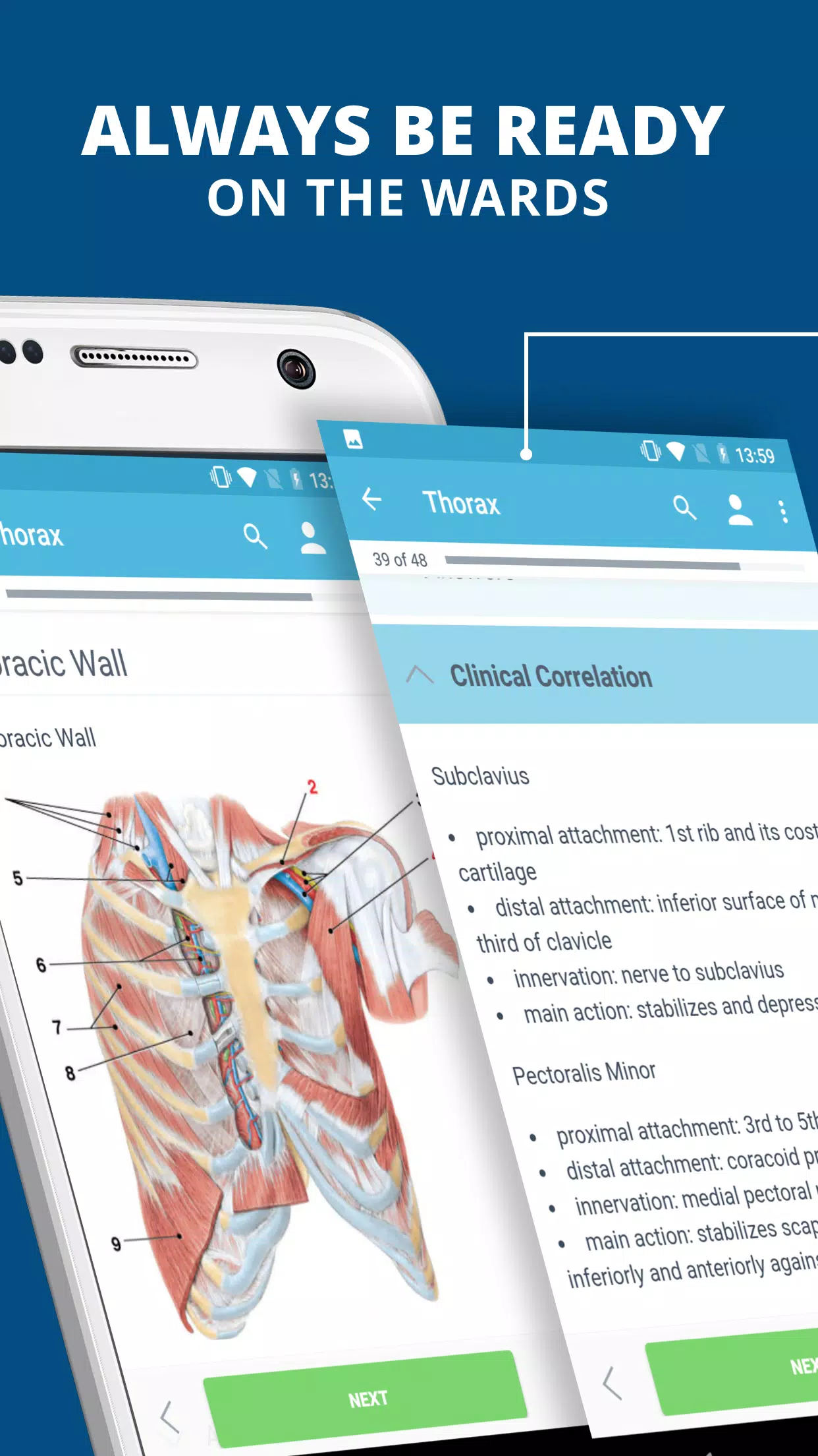 Moore's Clinical Anatomy Flash Cards PDF Free Download, 40 OFF
