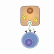 Biochemistry Lippincott's Q&A