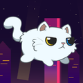 City Cats
