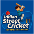 GWS Indian Street Cricket