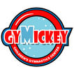 GyMickey icon