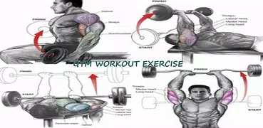 Gym Workout Routine Exercise