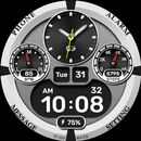 GYH004: Hybrid watchface APK