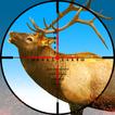 Deer Hunting Wild Hunter Games