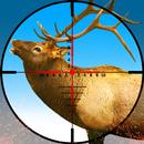 Deer Hunting Wild Hunter Games APK