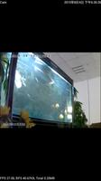 P2PLiveCam 截圖 1