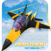 Light Flight Pilot Simulator 2