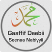 Gaaffif Deebii 440 Seenaa Nabi