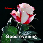 Good Evening Images 2024 icon