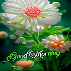 Good Morning Images and Quotes icono