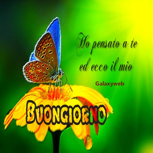 Buongiorno E Buona Notte