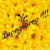 Buongiorno Animata Immagini 截图 2