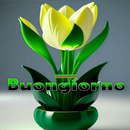 Buongiorno e buonanotte 2024 APK