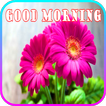 Good Morning Images GIF