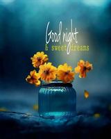 Good Night Messages Love Image ภาพหน้าจอ 3