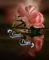 Good Night  Images Wishes 2024 постер