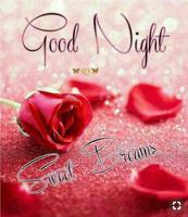 Good Night Romantic Images 海报
