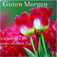 Guten Morgen  Bilder Nacht 海报