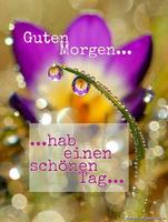 Guten Morgen  Bilder Nacht 截图 2