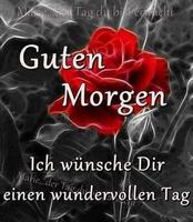 Guten Morgen  Bilder Nacht 截图 3
