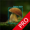 Mushrooms - AI Identifier PRO APK