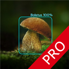 Mushrooms - AI Identifier PRO biểu tượng