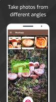 Mushrooms - AI Identifier PRO screenshot 1