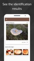 Mushrooms - AI Identifier PRO screenshot 2