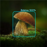 Mushrooms - AI Identifier biểu tượng