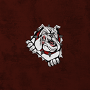 Cooper Bulldogs APK