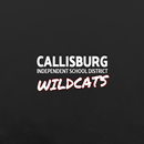 Callisburg Ind School District-APK