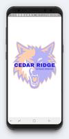Cedar Ridge Public Schools poster