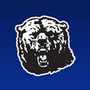 Balmorhea Bears APK