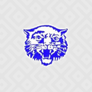 Fargo-Gage PS APK