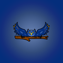 Hubbard ISD APK