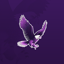 Newton ISD APK